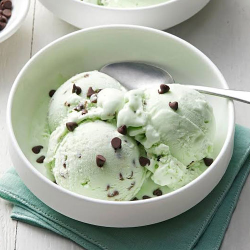 Mint Chocolate Chip Ice Cream